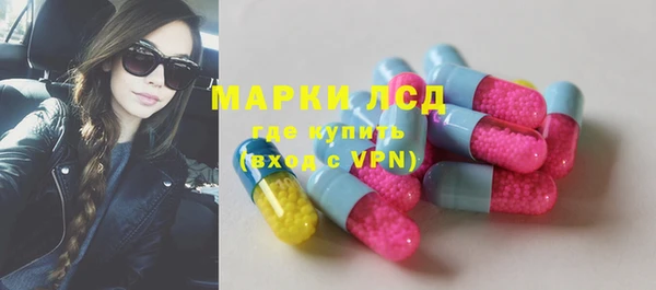 дживик Богородск