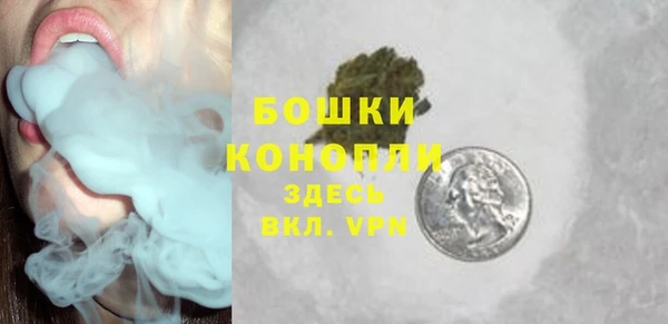 дживик Богородск