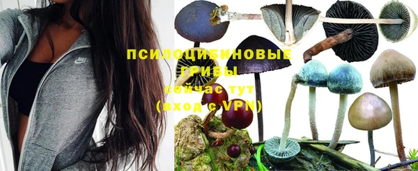 2c-b Новозыбков