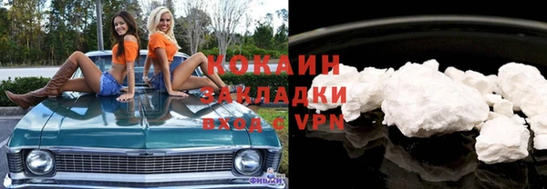 спайс Богданович