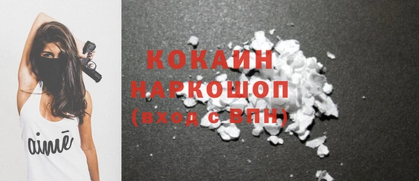 спайс Богданович
